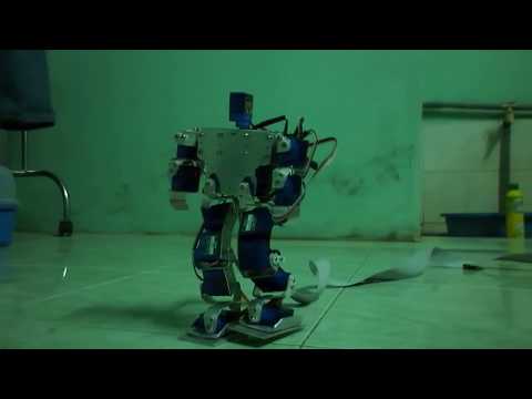 Humanoid Robot — Thesis Project